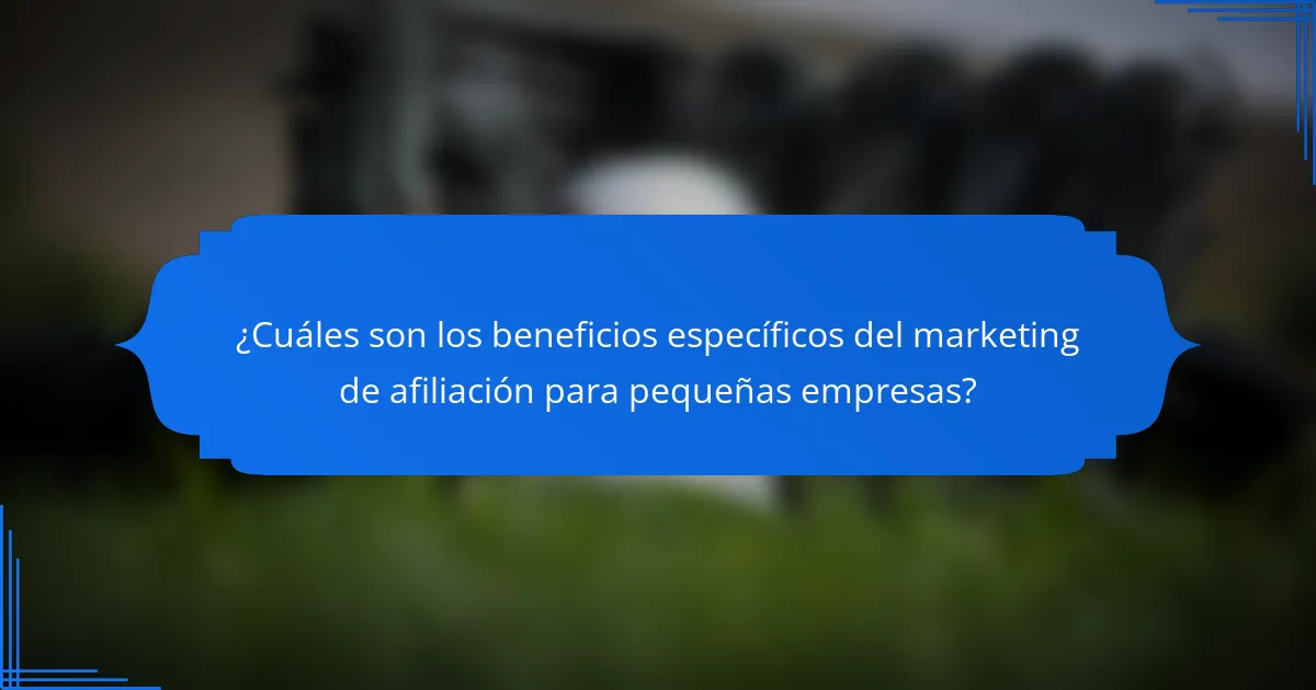 ¿Cuáles son los beneficios específicos del marketing de afiliación para pequeñas empresas?