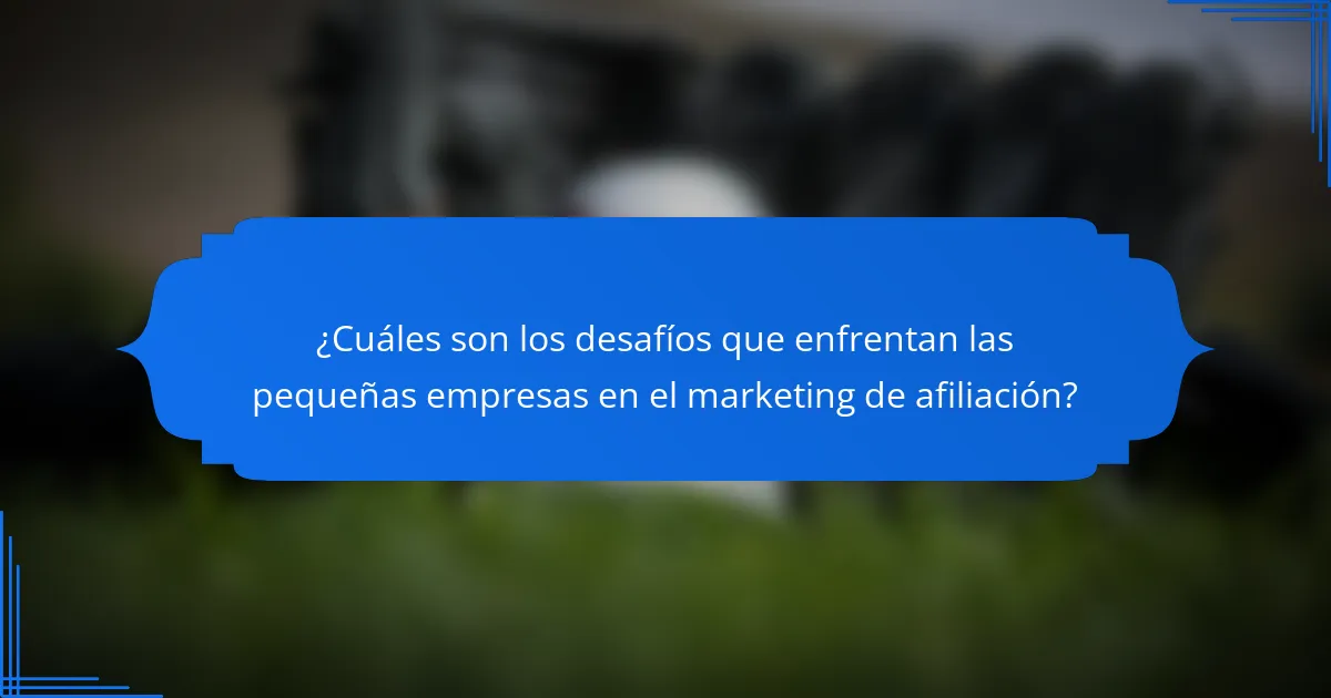 ¿Cuáles son los desafíos que enfrentan las pequeñas empresas en el marketing de afiliación?